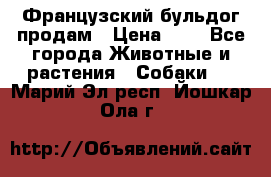 Французский бульдог продам › Цена ­ 1 - Все города Животные и растения » Собаки   . Марий Эл респ.,Йошкар-Ола г.